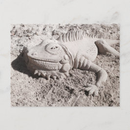 Iguana sand sculpture postcard postkarte