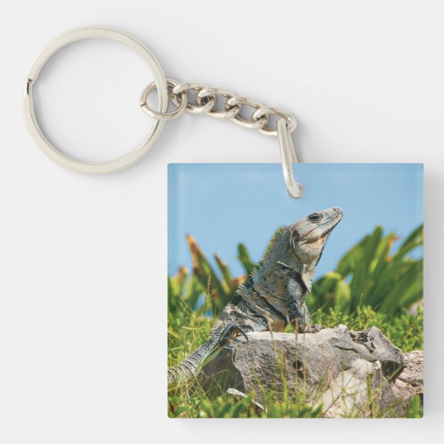 Iguana Schlüsselanhänger (Vorderseite)