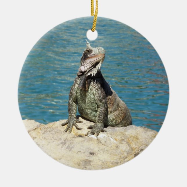 Iguana Tropical Wildlife Fotografy at St. Thomas Keramikornament (Vorne)
