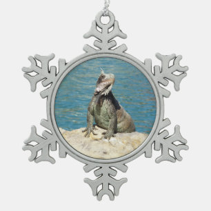 Iguana Tropical Wildlife Fotografy at St. Thomas Schneeflocken Zinn-Ornament