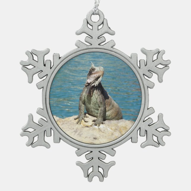 Iguana Tropical Wildlife Fotografy at St. Thomas Schneeflocken Zinn-Ornament (Vorderseite)