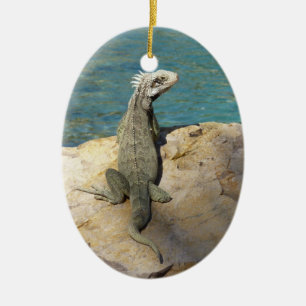 Iguana Tropical Wildlife Fotografy Keramik Ornament