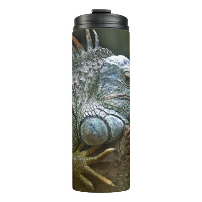 Iguana tumbler thermosbecher (Vorderseite)