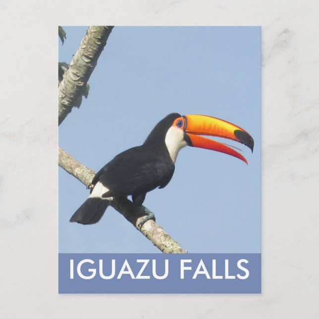 Iguazu Falls Toco Toucan Postcard Postkarte (Vorderseite)