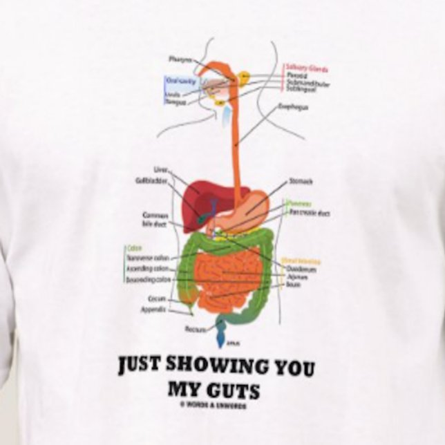 Ihnen meine Eingeweide (schwarzen Schriftart T-Shirt (T-shirt featuring human digestive system for anyone who desires to say "Just Showing You My Guts")