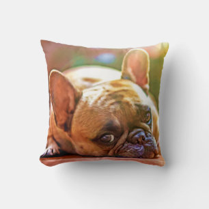 Ihr Begleiter Foto Französischer Bulldog Erstwerfe Kissen