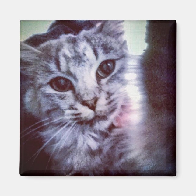 Ihr Begleiter Personalisiert Magnet (Vorne)