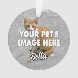 Ihr Chat-Foto Ornament