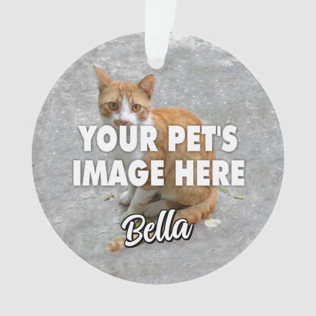 Ihr Chat-Foto Ornament (Vorderseite)