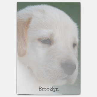 Ihr Foto automatisch verblaßt allmählich Post-it Klebezettel