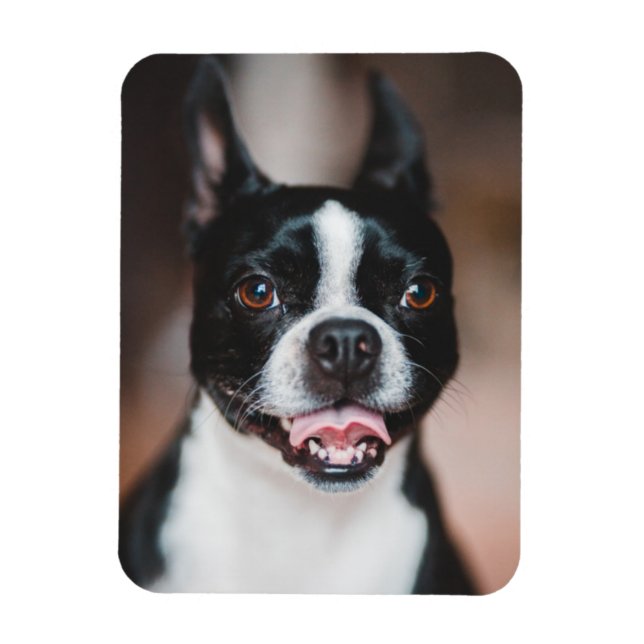 Ihr Foto | Fur Baby Niedlich Puppy Image Upload Magnet (Vertikal)