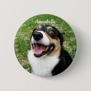 Ihr Foto für Haustiere Fügen Sie hier Ihren Hund Button