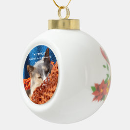 IHR FOTO für Haustiere oder Hunde Personalisiert Keramik Kugel-Ornament