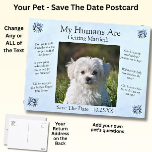Ihr Foto für Haustiere - Save the Date Postkarte