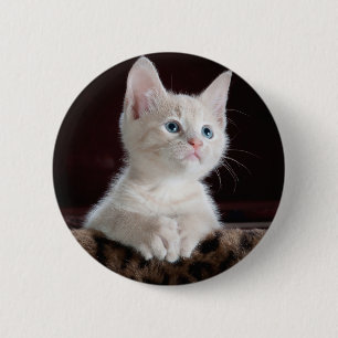 Ihr Foto-Gewohnheits-Knopf Button