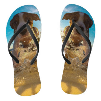 Ihr Foto hier - Foto für die Haustiere Flip Flops