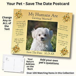 Ihr Foto mit dem Haustier Save the Date goldgelbe  Postkarte