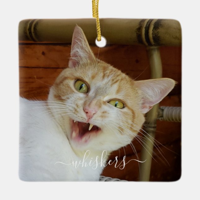 Ihr Foto Skriptname Cat Dog Pet Keepake Keramikornament (Vorderseite)
