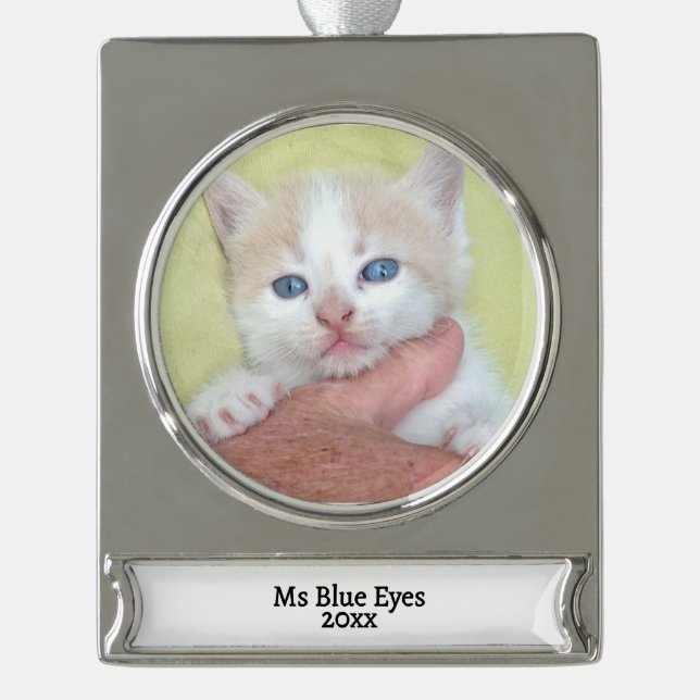 Ihr Foto/Text - Traditionelles Jährliches Geschenk Banner-Ornament Silber (Vorderseite)