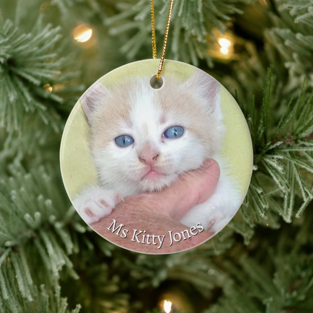 Ihr Foto/Text - Traditionelles Jährliches Geschenk Keramik Ornament (Baum)