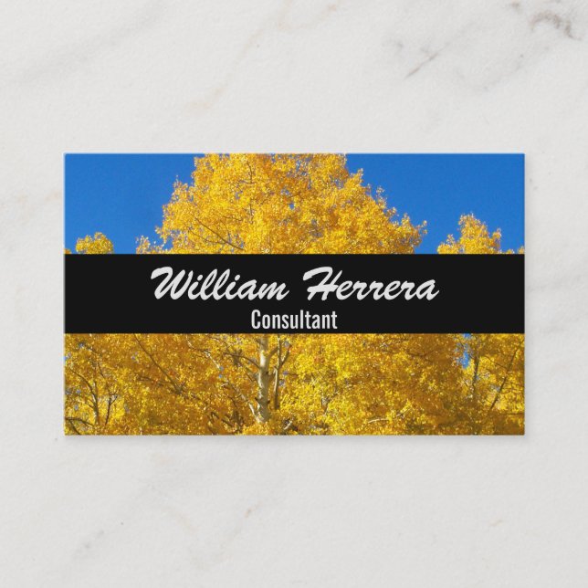 Ihr Fotomaterial elegant formatiertes Layout 100 i Visitenkarte (Vorderseite)