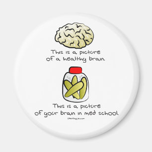 Ihr Gehirn in MED-Schule Magnet