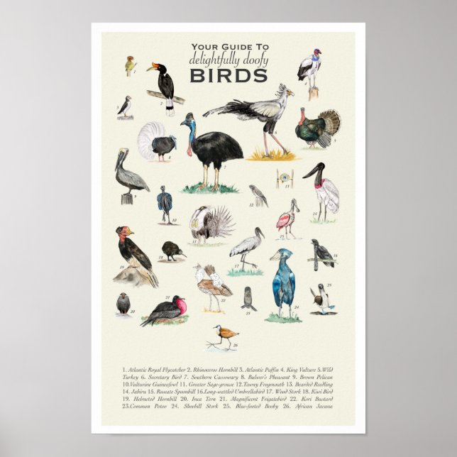 Ihr Guide to Doofy Birds 11x17 Poster (Vorne)