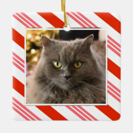 Ihr Haustier Foto Erdbeere Candy Cane Streifen Keramikornament