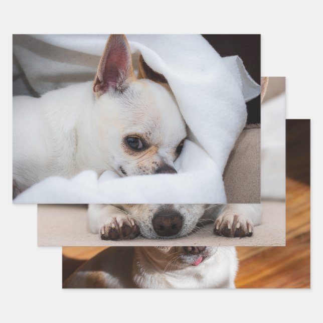 Ihr Haustier Hund Welpe Custom 3 Foto chihuahua Geschenkpapier Set (Set)