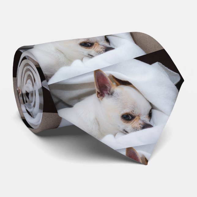 Ihr Haustier Hund Welpe Foto chihuahua, 2-seitig Krawatte (Gerollt)