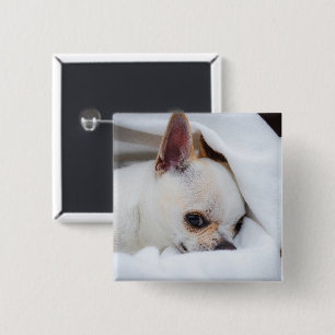 Ihr Haustier Hund Welpe Foto chihuahua Button