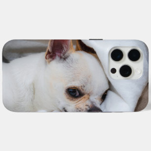 Ihr Haustier Hund Welpe Foto chihuahua Case-Mate iPhone Hülle