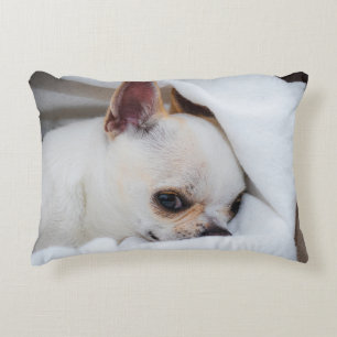 Ihr Haustier Hund Welpe Foto chihuahua Dekokissen