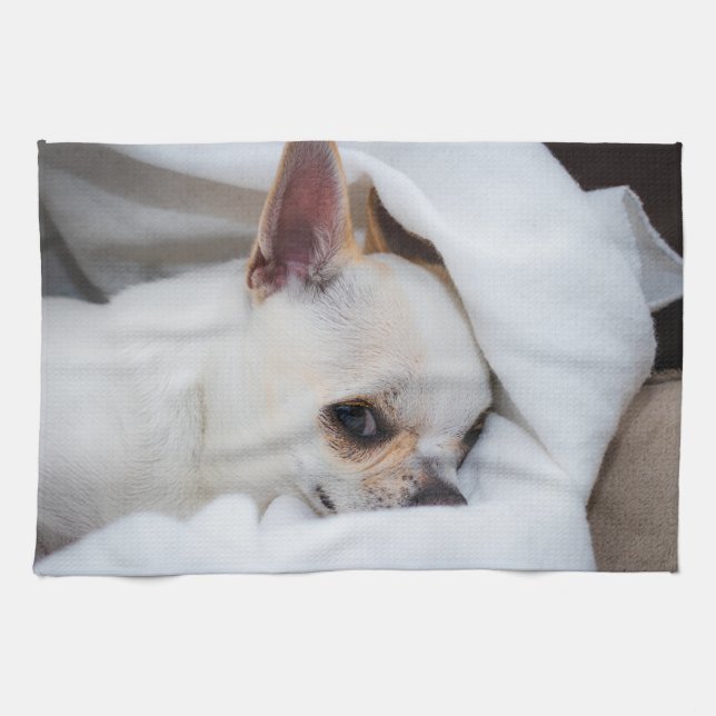 Ihr Haustier Hund Welpe Foto chihuahua Geschirrtuch (Horizontal)