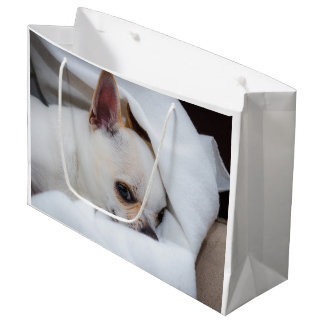 Ihr Haustier Hund Welpe Foto chihuahua Große Geschenktüte