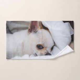 Ihr Haustier Hund Welpe Foto chihuahua Handtuch