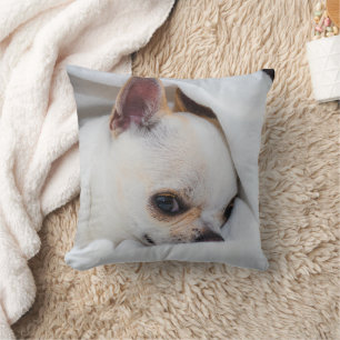 Ihr Haustier Hund Welpe Foto chihuahua Kissen