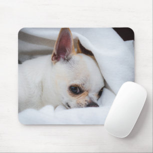 Ihr Haustier Hund Welpe Foto chihuahua Mousepad