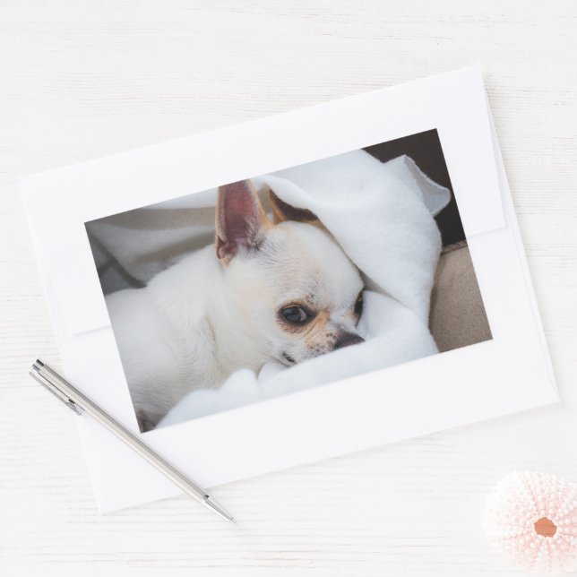 Ihr Haustier Hund Welpe Foto chihuahua Rechteckiger Aufkleber (Umschlag)