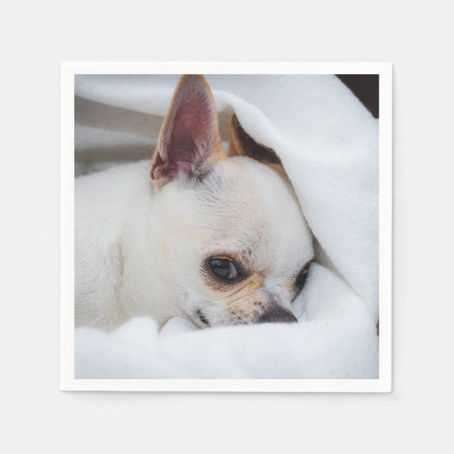 Ihr Haustier Hund Welpe Foto chihuahua Serviette (Vorderseite)