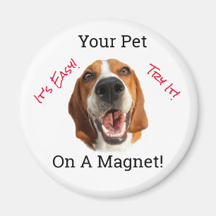 Ihr Haustier Magnet