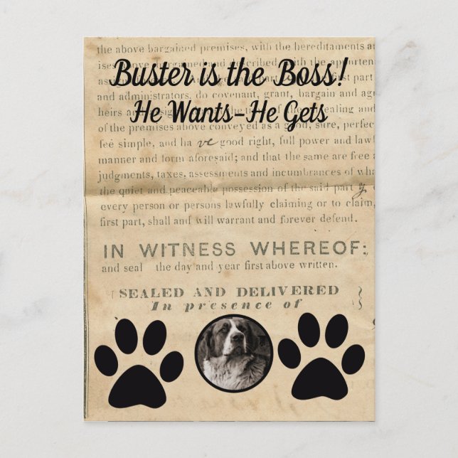 Ihr Hund Foto in Paws 1860 Legal Document Funny Postkarte (Vorderseite)