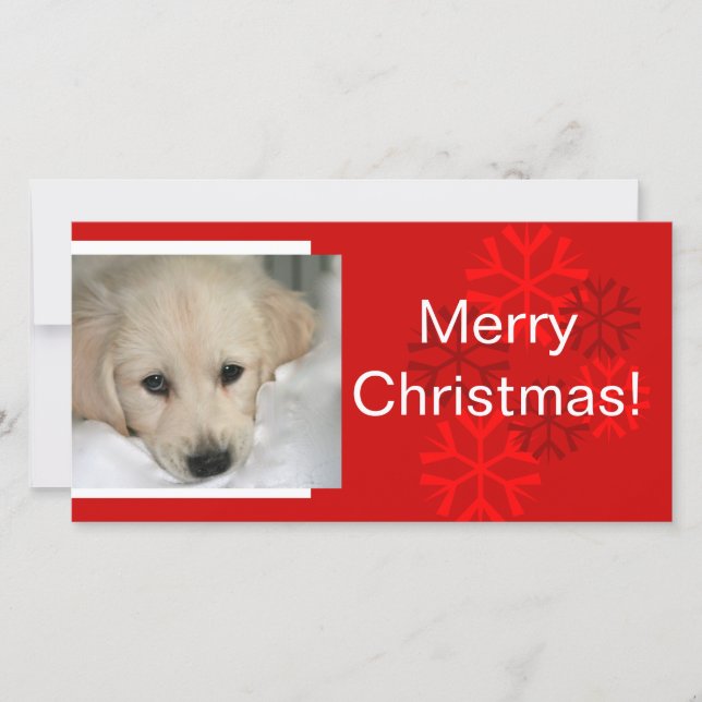 Ihr Hund Foto Snowflake Weihnachtskarte Feiertagskarte (Vorderseite)