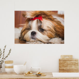 Ihr Hundewelpen-Foto Poster