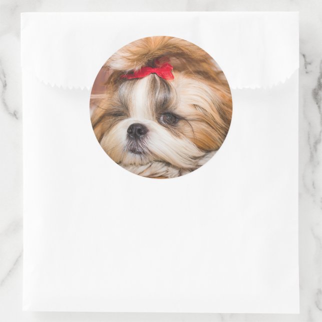 Ihr Hundewelpen-Foto Runder Aufkleber (Tasche)