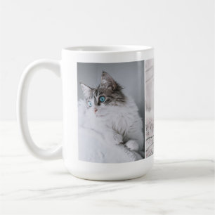 Ihr Katzen Hund Fotos sammeln Kaffeetasse