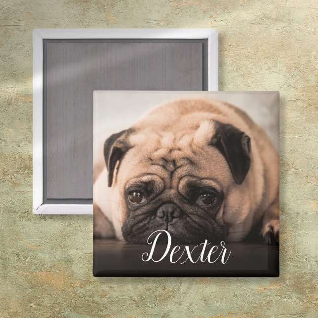 Ihr Lieblings-Foto Magnet (Personalized Dog Cat Pet Photo Script Name Magnet)