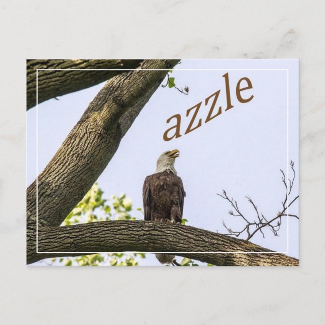 Ihr Logo hier Postkarte (Vorderseite)