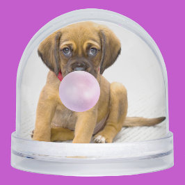 Ihr lustiger Hund Fotos, 2 Insgesamt Schneekugeln
