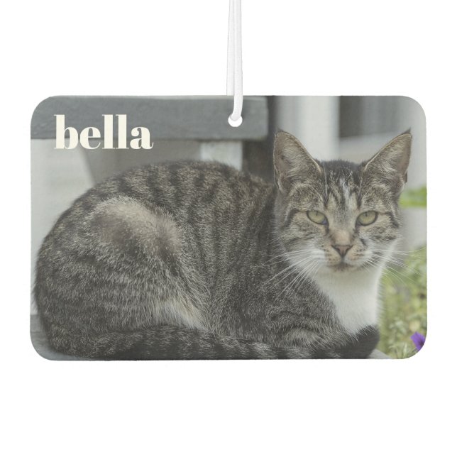 Ihr Name und Ihre Katzen-Fotovorlage Autolufterfrischer (Vorderseite)
